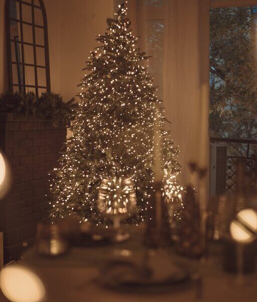 Tips for Creating a Cosy and Welcoming Home Throughout the Seasons