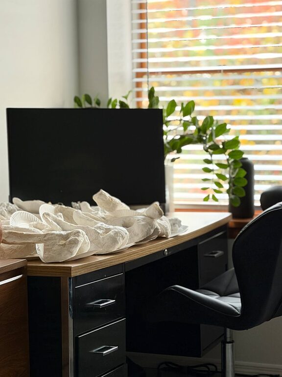 Tips for Creating a Relaxing Home Office Environment