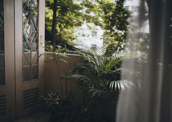 Tips for Creating a Relaxing Home Garden Space