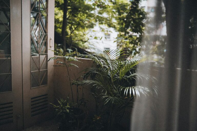 Tips for Creating a Relaxing Home Garden Space